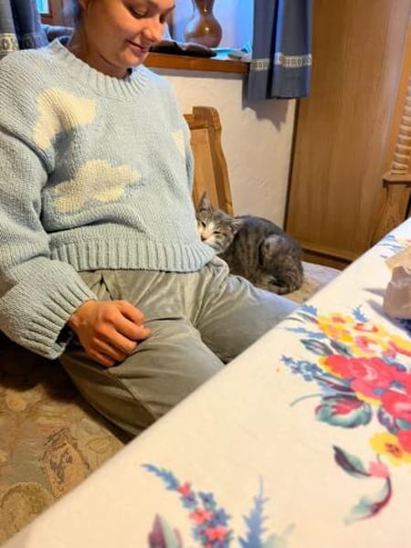 Zuhause gesucht für Mogli