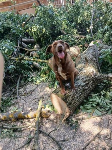 Niemand sieht Lala, sie gibt auf