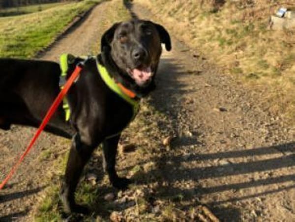 NICKI - bildhübsche Wasserratte