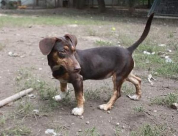 Jasmin sucht eine liebevolle Familie