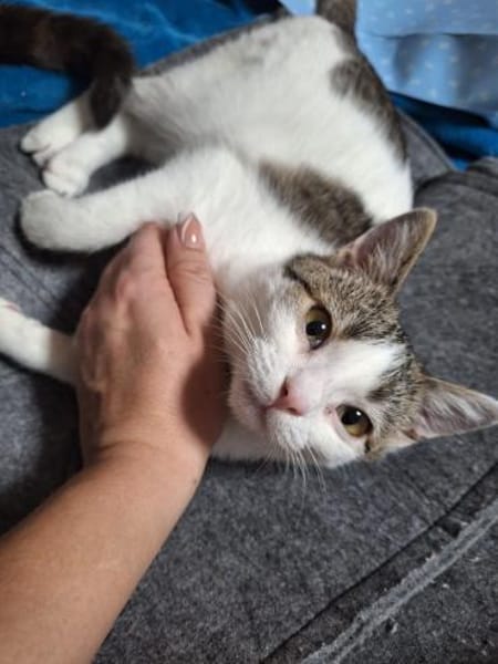 Molly und Rubi Geschwister suchen Glück