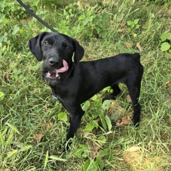 Raven - die Abenteuerlustige