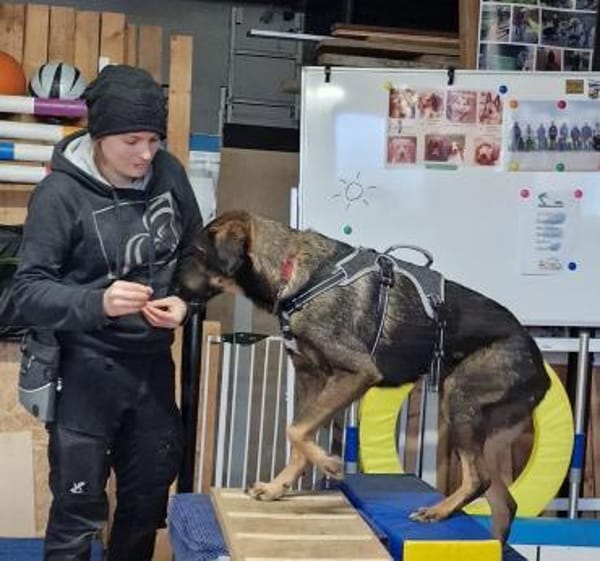 Scooby wartet in 74391 Erligheim!