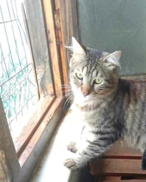 CAKIR & TOPRAK - auch Einzelvermittlung