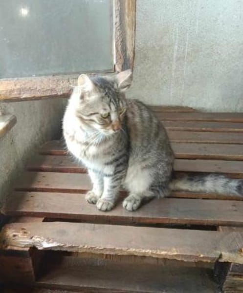 CAKIR & TOPRAK - auch Einzelvermittlung