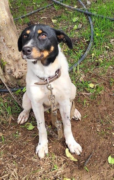 BRISA ❤ kleine Frohnatur, Immenhausen