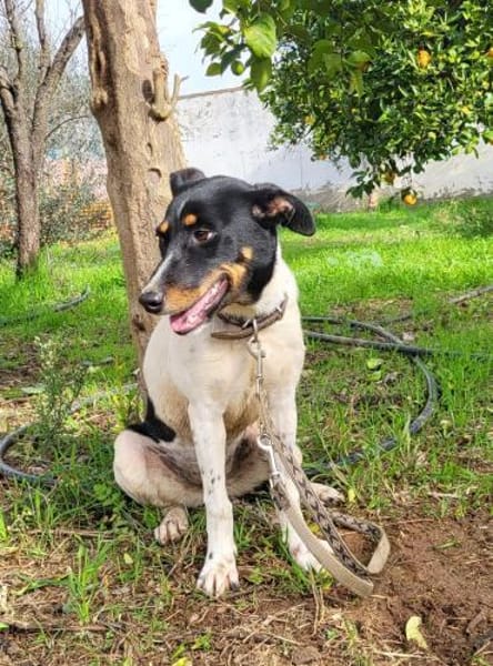 BRISA ❤ kleine Frohnatur, Immenhausen