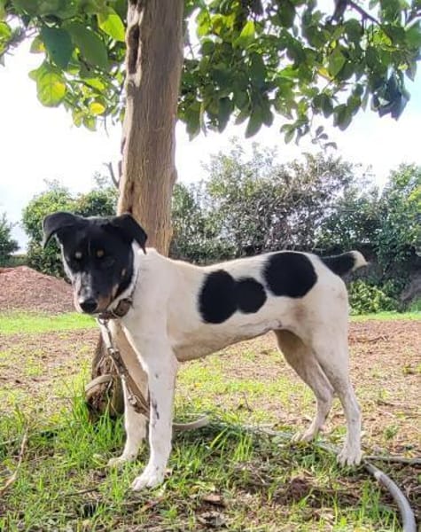 BRISA ❤ kleine Frohnatur, Immenhausen