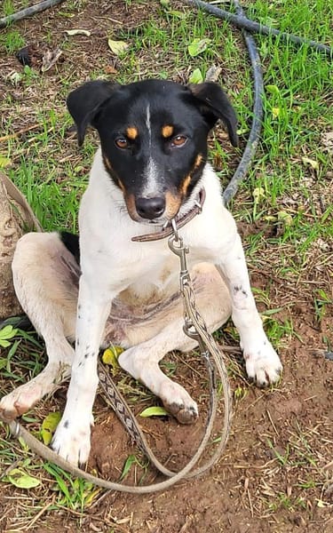 BRISA ❤ kleine Frohnatur, Immenhausen