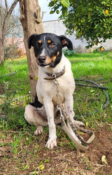 BRISA ❤ kleine Frohnatur, Immenhausen