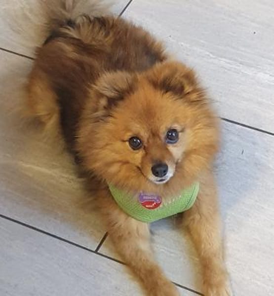 Bertha in 42859 Remscheid