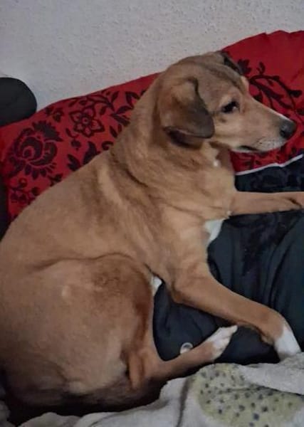 YUMA -SENSIBLE SEELE SUCHT VERTRAUEN