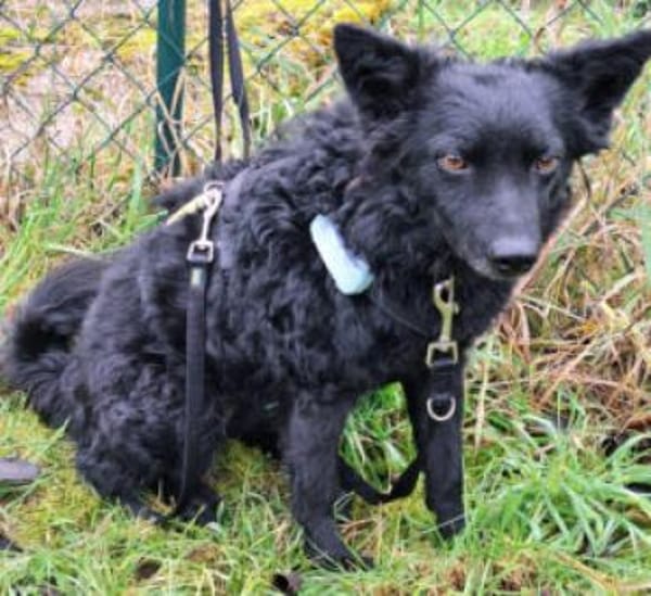 MARENA - liebenswert&intelligent