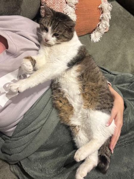 Epos- besonderer Liebesuchender