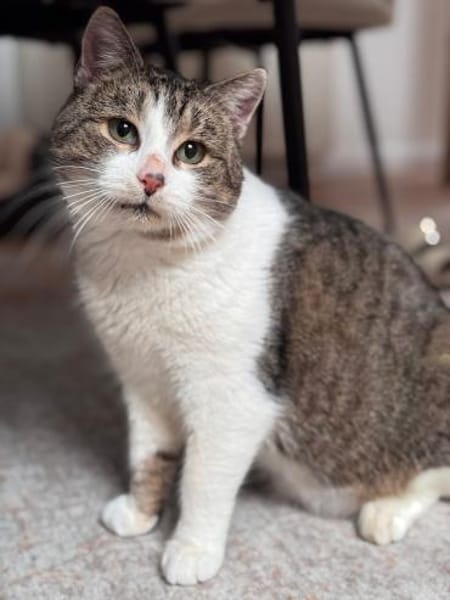 Epos- besonderer Liebesuchender