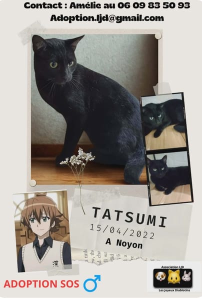 Tatsumi