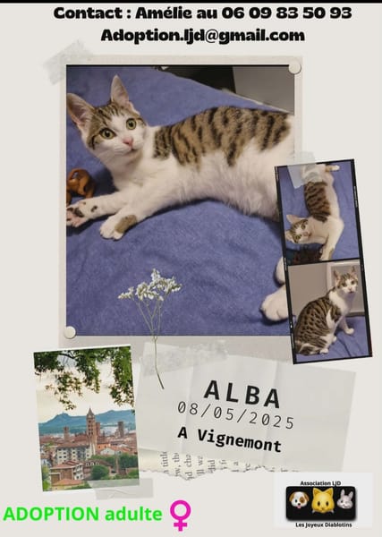 Alba