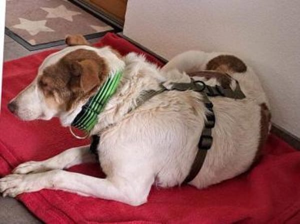 HELEN, lieb und sanft