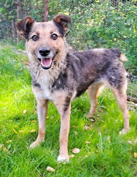 Sportliche Kuschelmaus COSMINA, 3 Jahre