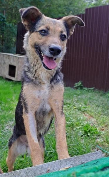 Sportliche Kuschelmaus COSMINA, 3 Jahre