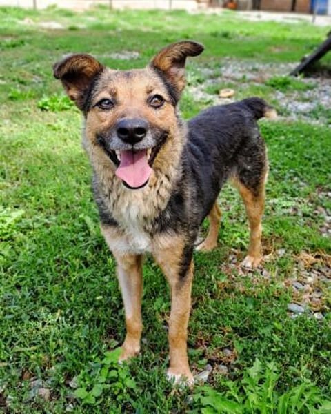 Sportliche Kuschelmaus COSMINA, 3 Jahre