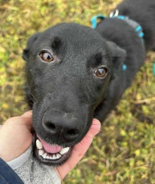 Hübsche Pinga träumt vom Happyend!