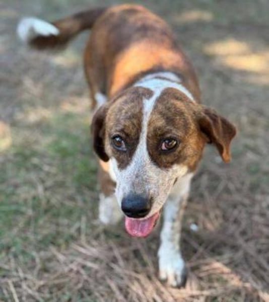 BETUSCH sucht Familienanschluss