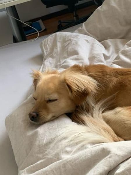 Kleiner MIO sucht ländliches Zuhause!