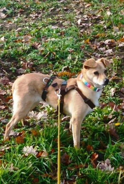 Liebe Rita auf Körbchensuche!