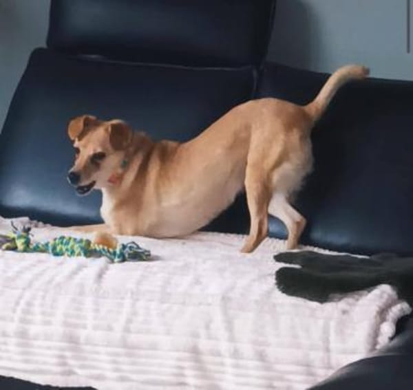 Liebe Rita auf Körbchensuche!