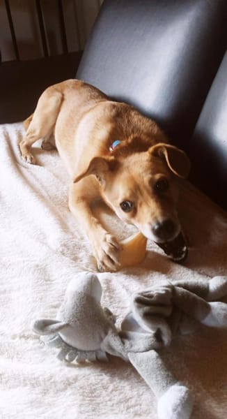 Liebe Rita auf Körbchensuche!