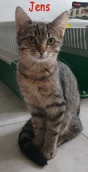 Flicka+Jens+Karin+Marc+Simba+Susi+Victor