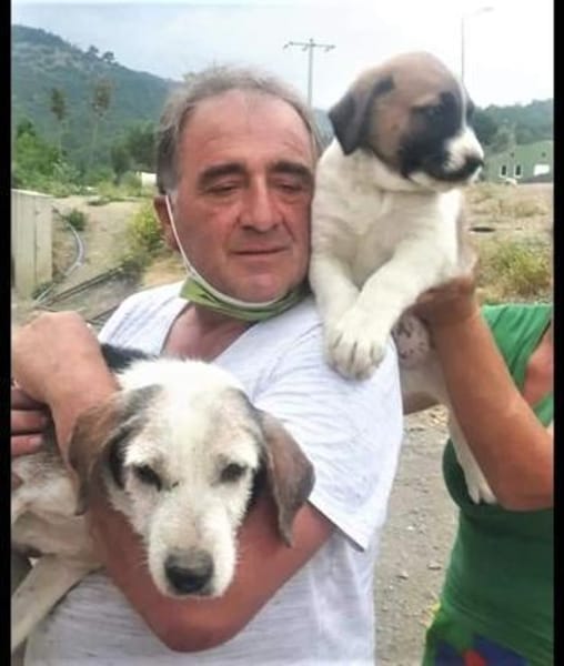 Das Leid unserer Hunde in der Türkei !