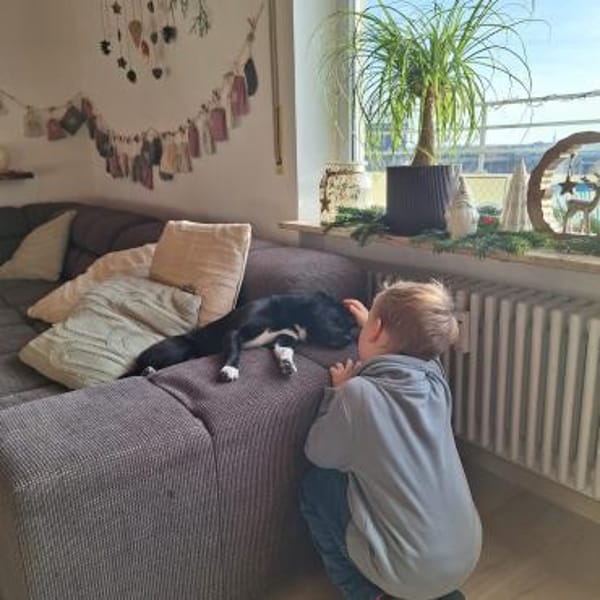 Penny  sucht Kuschelmensch