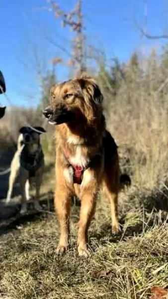 BALISTO -angenehm & freundlich-