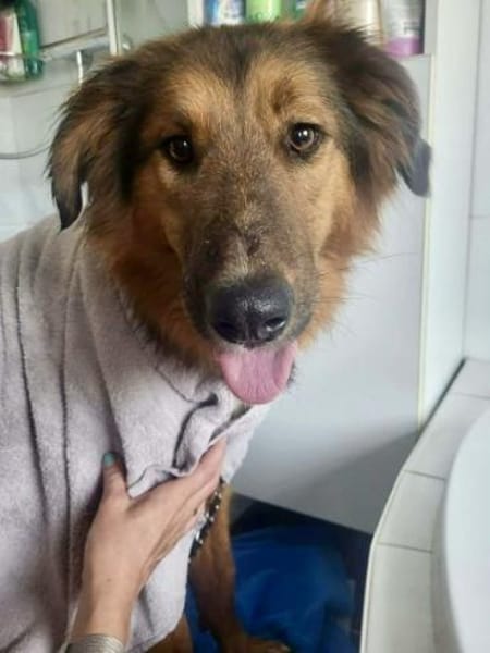 BALISTO -angenehm & freundlich-