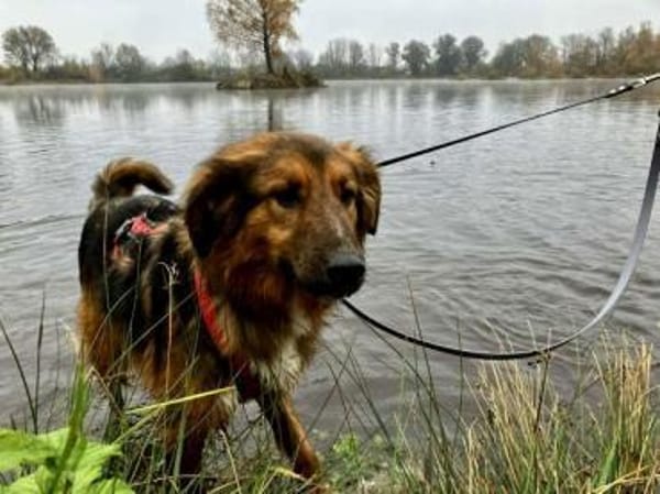 BALISTO -angenehm & freundlich-