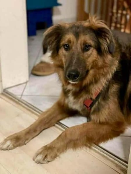 BALISTO -angenehm & freundlich-