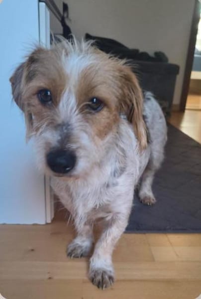 Hope  Die zierliche Kuschelexpertin