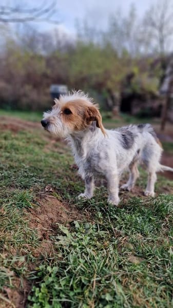 Hope  Die zierliche Kuschelexpertin