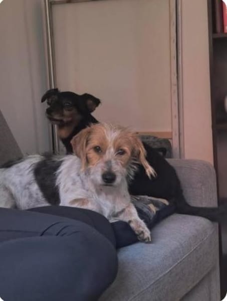 Hope  Die zierliche Kuschelexpertin