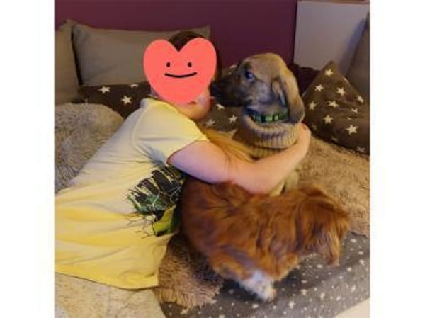 Clark - wartet in 50999 Köln