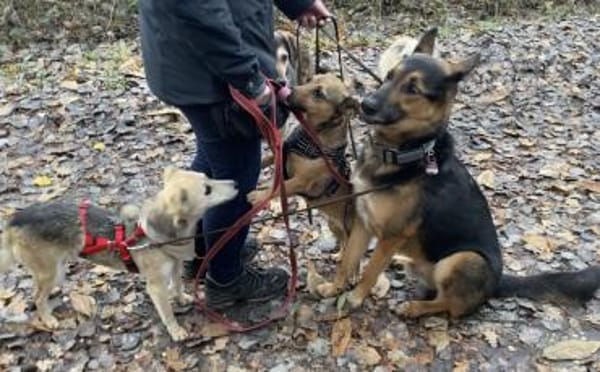 Kleine, zierliche Sunny ❤🐾