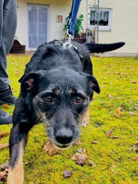 JUNA träumt von Ihrem Weihnachtsmärchen