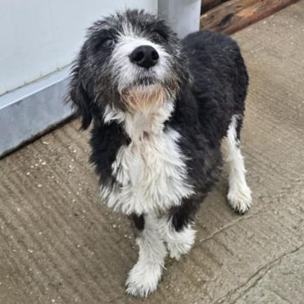 Zora ❤ mit großem Herz