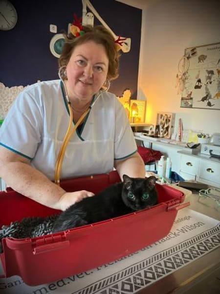 Sehr liebe, blinde Yazz !