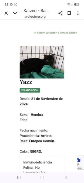 Sehr liebe, blinde Yazz !