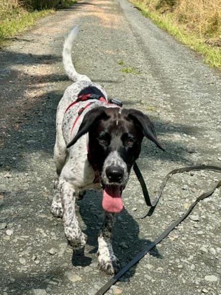 Balu, ich bin ein -Notfellchen-