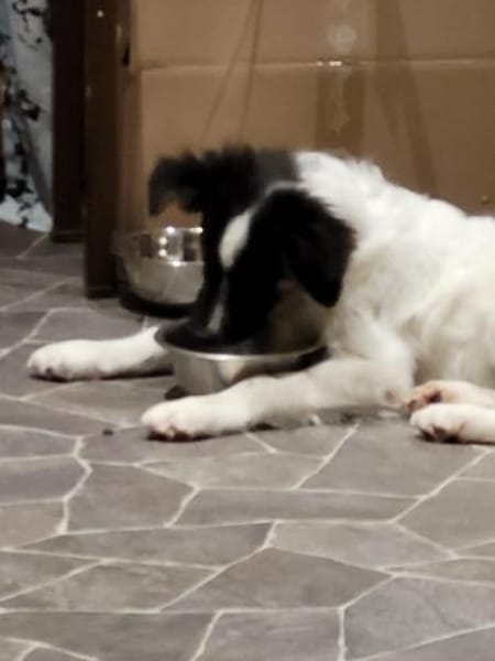 Gonzosucht sein großes Glück 🐾💕🍀