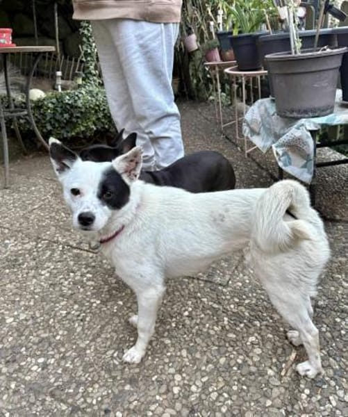 Unsere zarte Seele IDA...